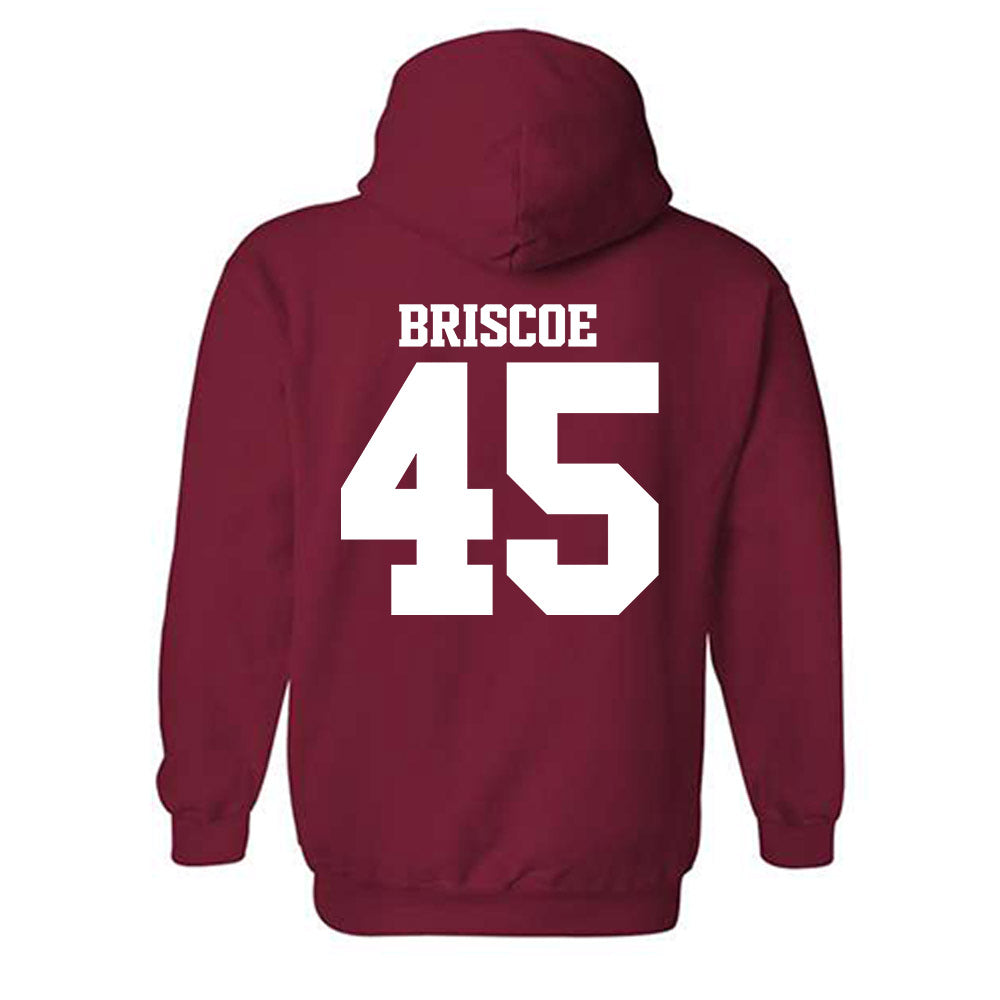 Arkansas - NCAA Baseball : Tye Briscoe - Classic Shersey Hooded Sweatshirt-1