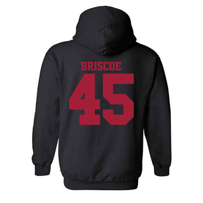 Arkansas - NCAA Baseball : Tye Briscoe - Classic Shersey Hooded Sweatshirt-1
