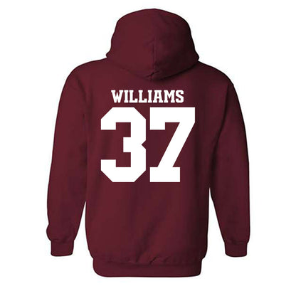 Arkansas - NCAA Baseball : Luke Williams - Classic Shersey Hooded Sweatshirt