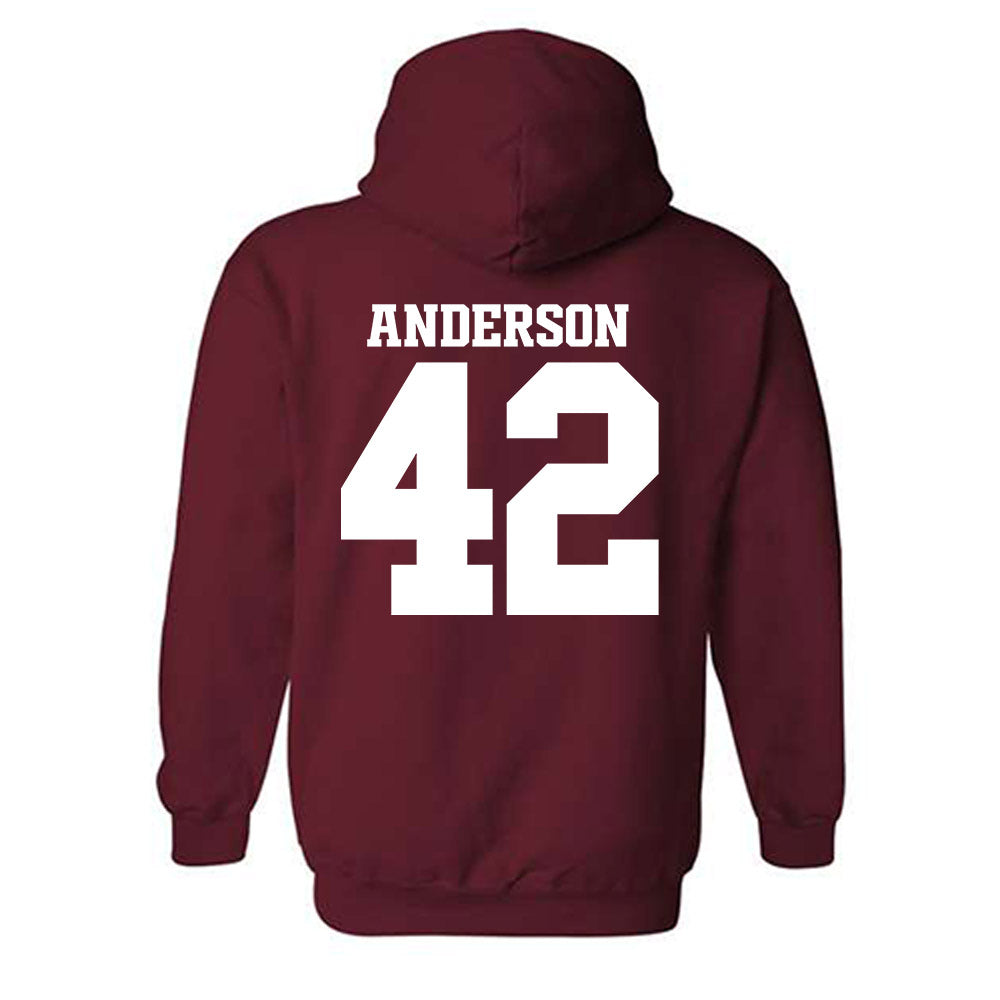 Arkansas - NCAA Baseball : Michael Anderson - Classic Shersey Hooded Sweatshirt-1