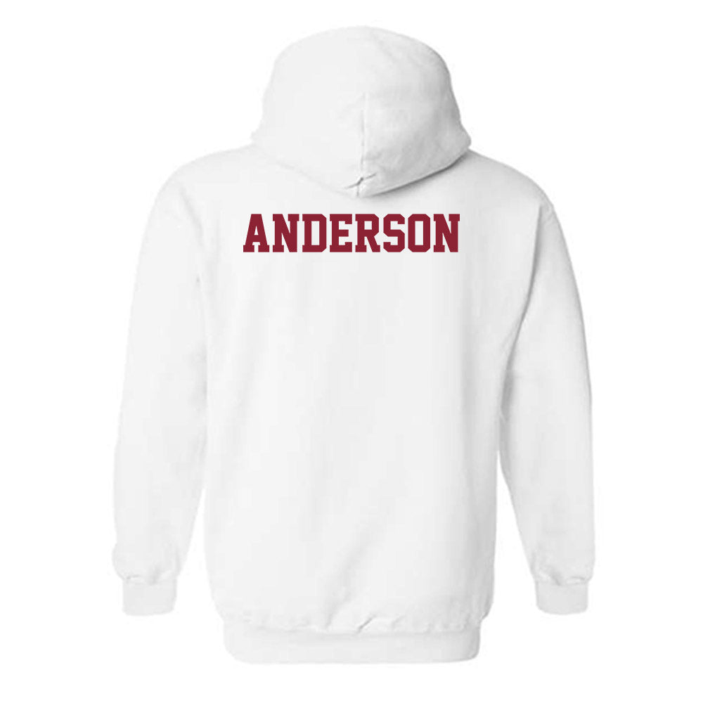 UMN Duluth - NCAA Women's Track & Field : Emily Anderson - Classic Shersey Hooded Sweatshirt-1