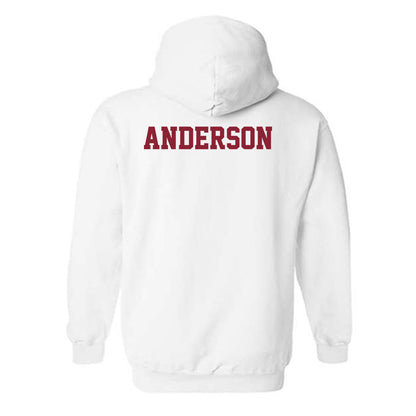 UMN Duluth - NCAA Women's Track & Field : Emily Anderson - Classic Shersey Hooded Sweatshirt-1