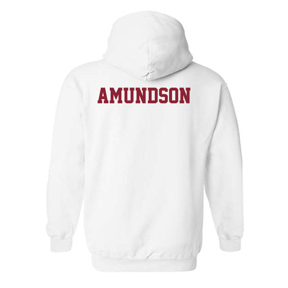 UMN Duluth - NCAA Men's Track & Field : Nathan Amundson - Classic Shersey Hooded Sweatshirt-1
