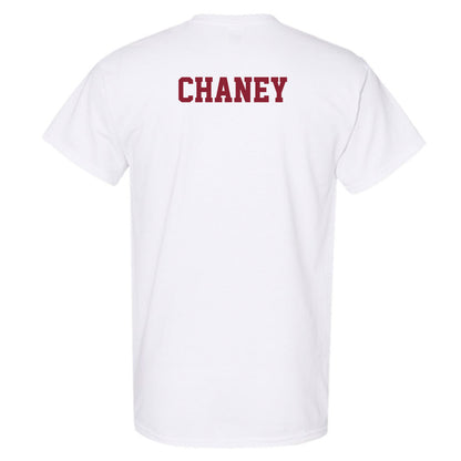 UMN Duluth - NCAA Women's Tennis : Carly Chaney - Classic Shersey T-Shirt-1