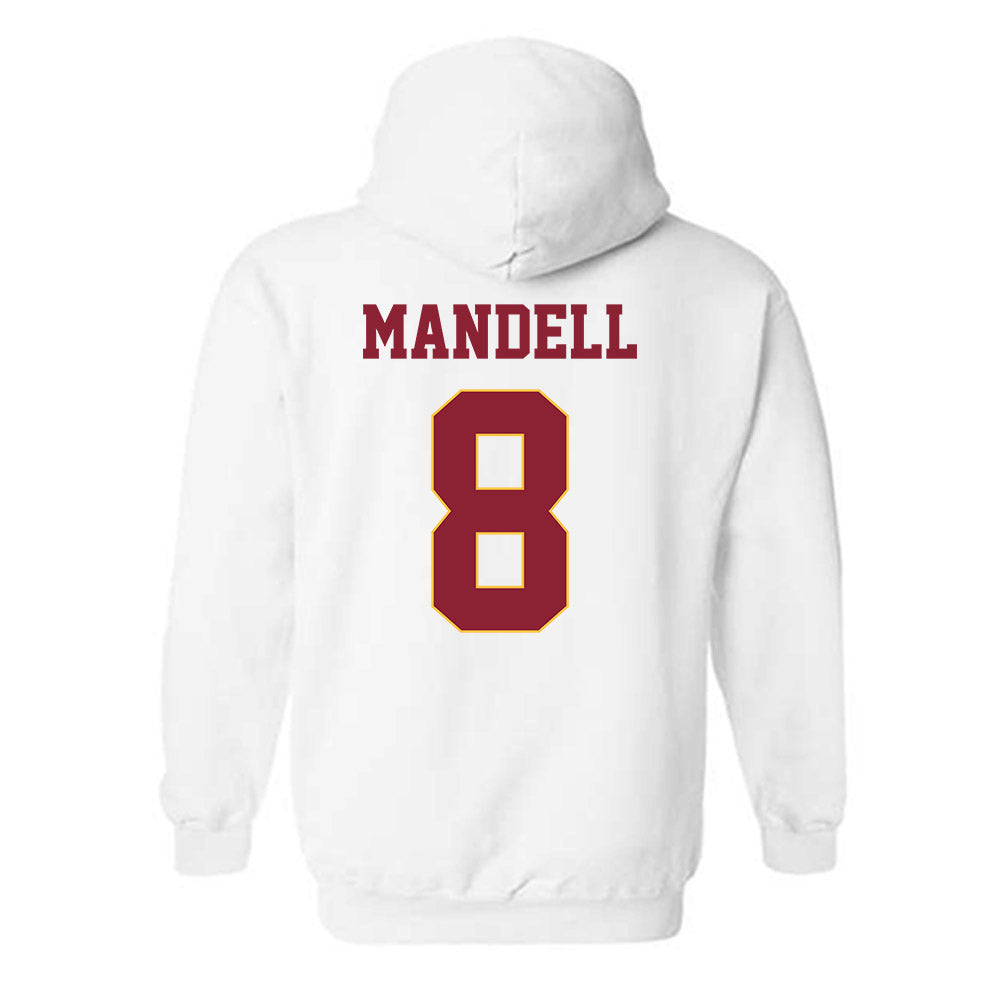 UMN Duluth - NCAA Softball : Ashley Mandell - Classic Shersey Hooded Sweatshirt-1