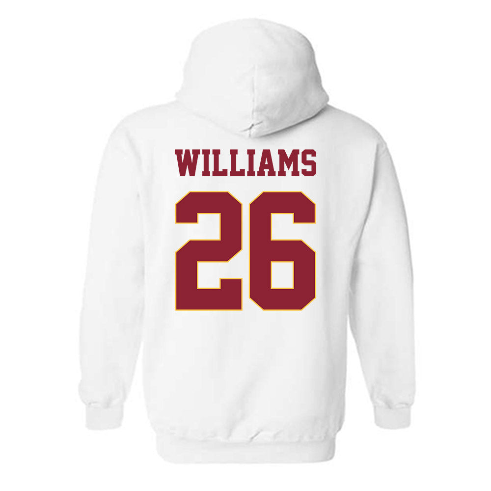 UMN Duluth - NCAA Softball : Allyssa Williams - Classic Shersey Hooded Sweatshirt-1