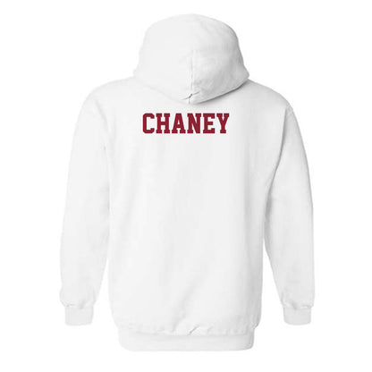 UMN Duluth - NCAA Women's Tennis : Carly Chaney - Classic Shersey Hooded Sweatshirt-1