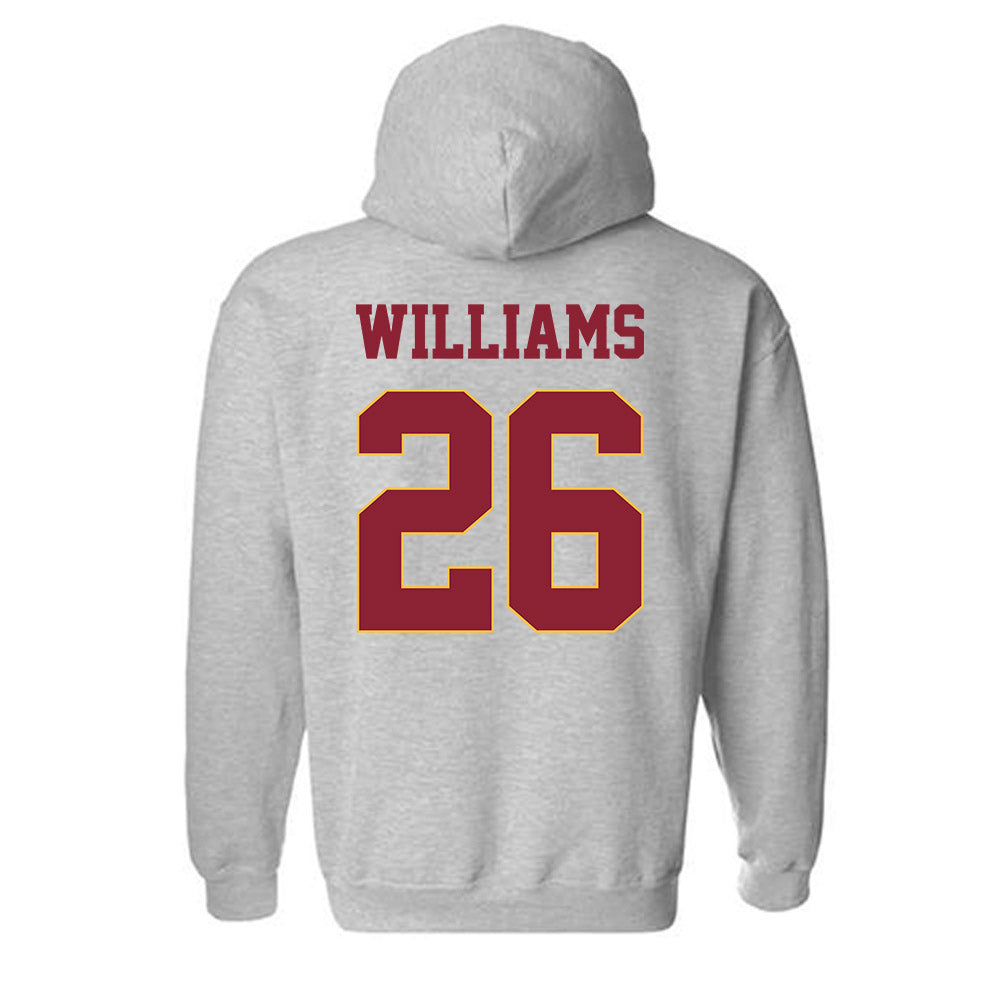 UMN Duluth - NCAA Softball : Allyssa Williams - Classic Shersey Hooded Sweatshirt-1