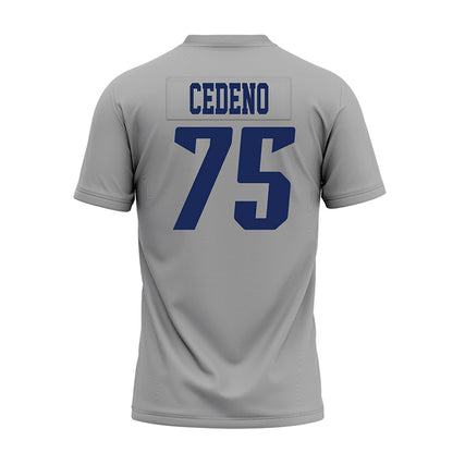 Rice - NCAA Football : Miguel Cedeno - Mid Grey AAC Premium Football Jersey