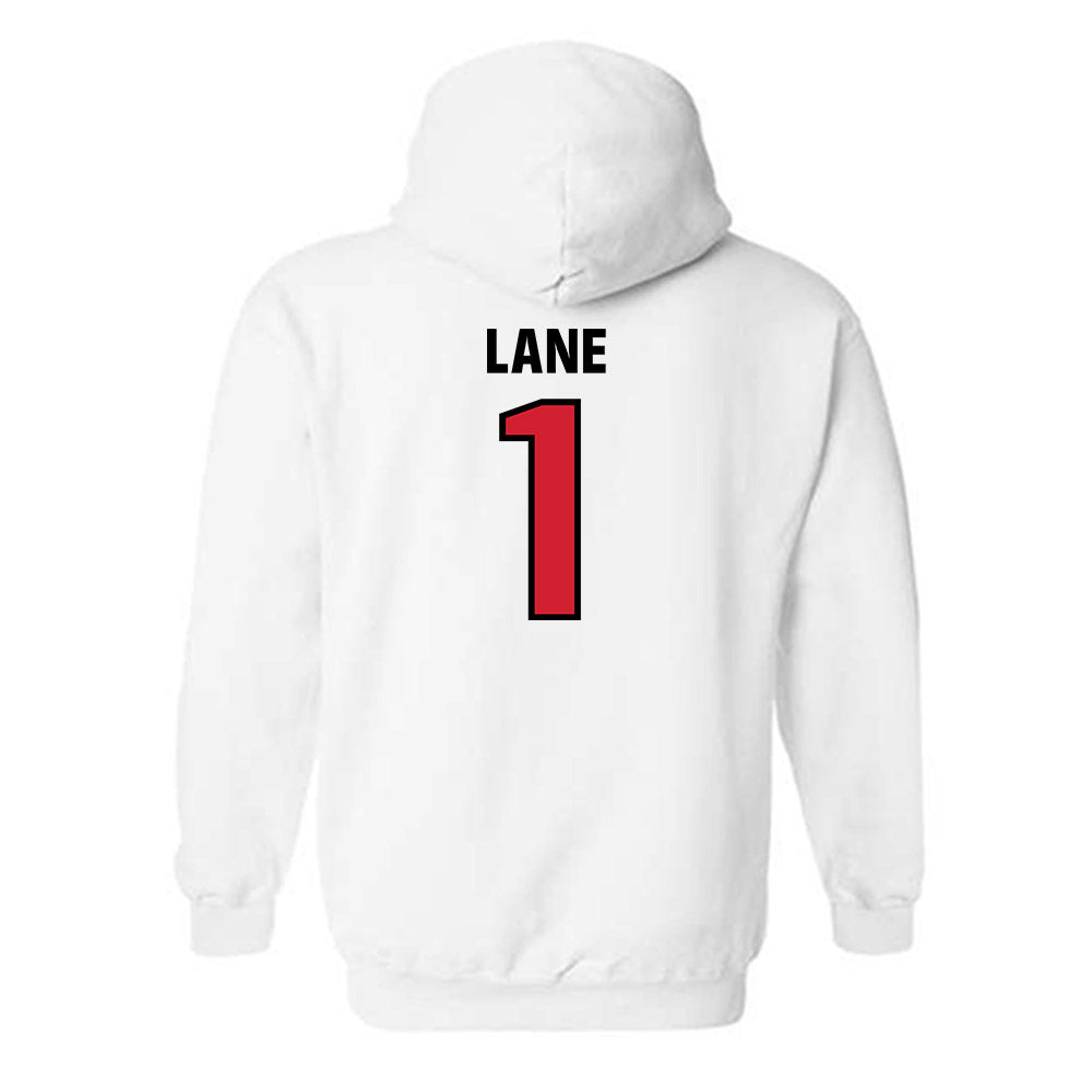 Tampa - NCAA Men's Basketball : Trey Lane - Classic Shersey Hooded Sweatshirt-1