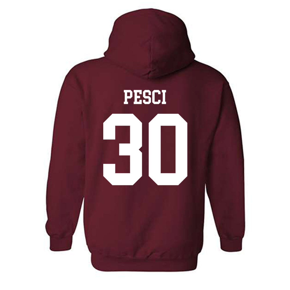 Alabama - NCAA Baseball : Anthony Pesci - Classic Shersey Hooded Sweatshirt-1