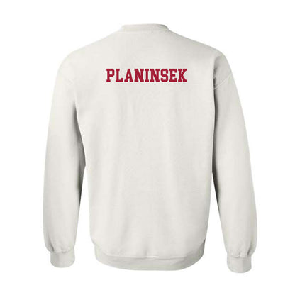 Alabama - NCAA Men's Tennis : Filip Planinsek - Crewneck Sweatshirt