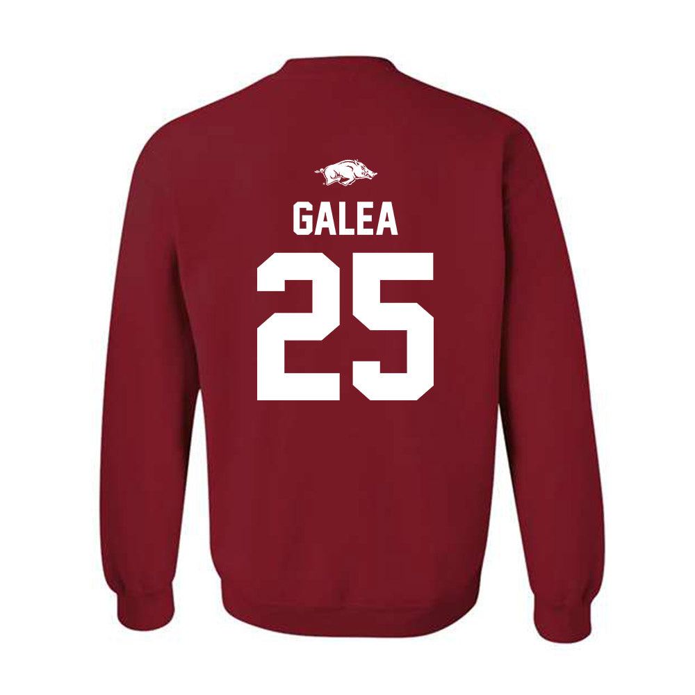 Arkansas - NCAA Women's Basketball : Danika Galea - Classic Shersey Crewneck Sweatshirt-1