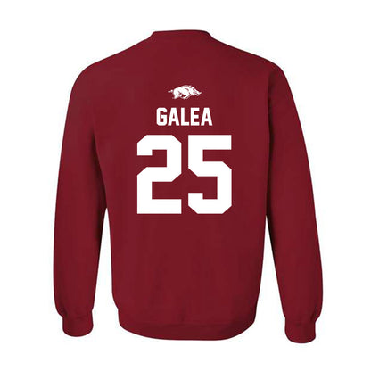Arkansas - NCAA Women's Basketball : Danika Galea - Classic Shersey Crewneck Sweatshirt-1
