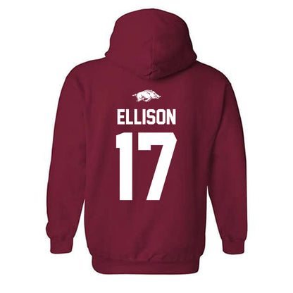 Arkansas - NCAA Women's Volleyball : Skylar Ellison - Hooded Sweatshirt