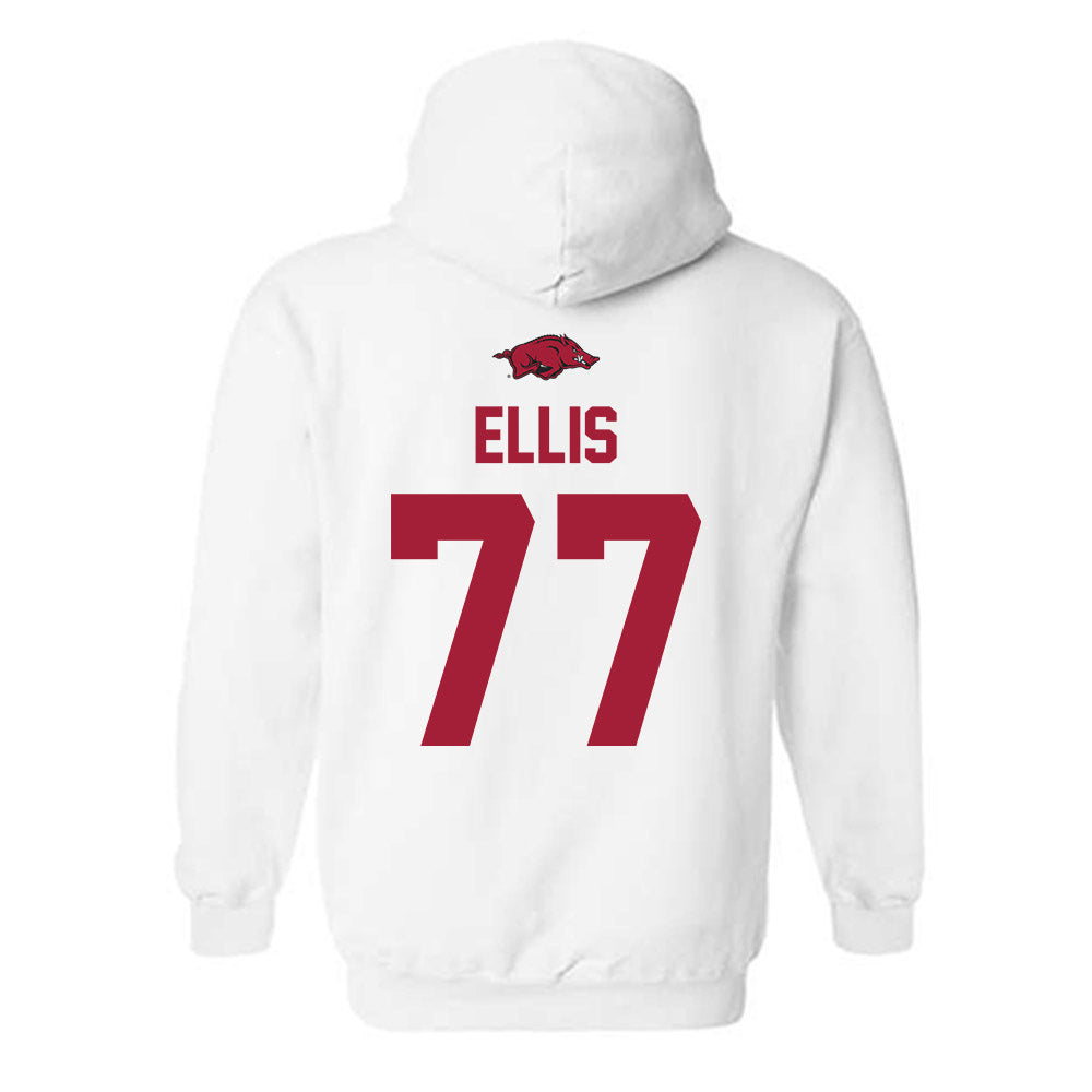 Arkansas - NCAA Softball : Bri Ellis - Classic Shersey Hooded Sweatshirt-1