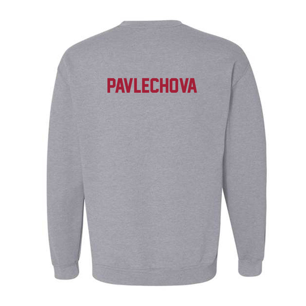 Arkansas - NCAA Women's Tennis : Katarina Pavlechova - Crewneck Sweatshirt-1