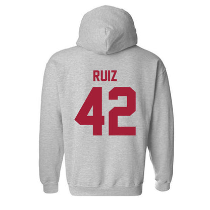 Arkansas - NCAA Baseball : Damian Ruiz - Hooded Sweatshirt-1