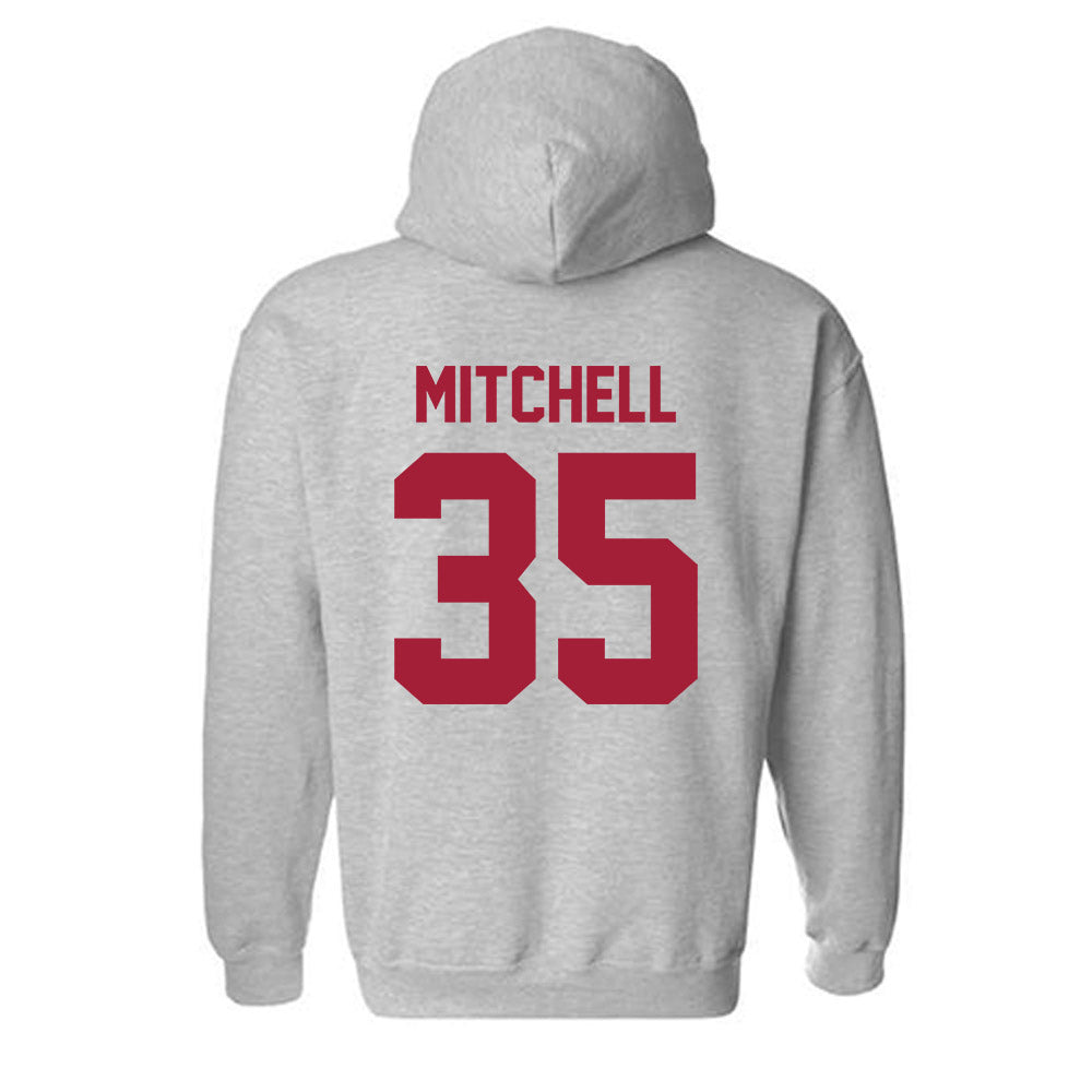 Arkansas - NCAA Baseball : Cayden Mitchell - Hooded Sweatshirt-1