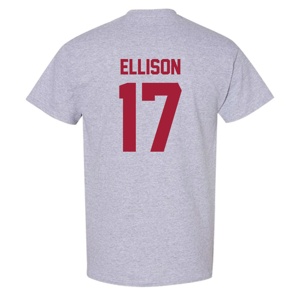 Arkansas - NCAA Women's Volleyball : Skylar Ellison - T-Shirt