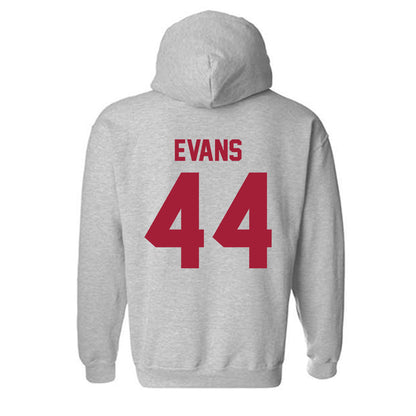 Arkansas - NCAA Women's Volleyball : Zoi Evans - Hooded Sweatshirt