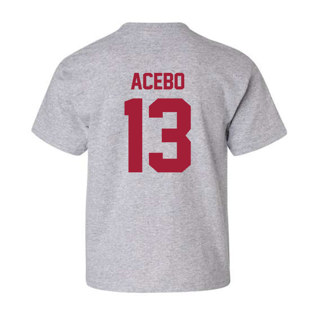 Arkansas - NCAA Football : Rykar Acebo - Youth T-Shirt