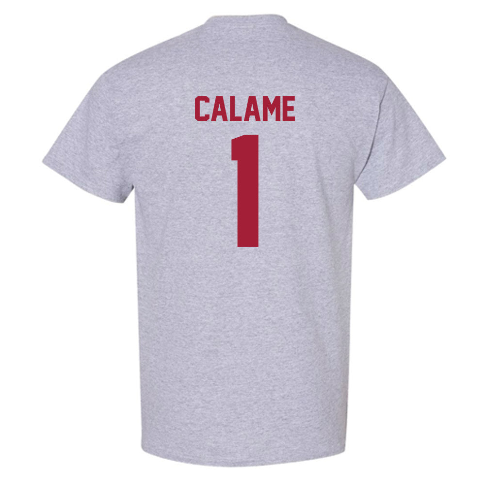 Arkansas - NCAA Women's Volleyball : Avery Calame - T-Shirt