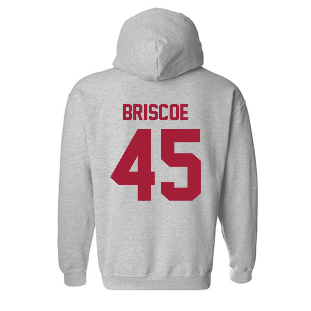 Arkansas - NCAA Baseball : Tye Briscoe - Hooded Sweatshirt-1