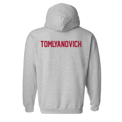 Arkansas - NCAA Men's Track & Field : TJ Tomlyanovich - Hooded Sweatshirt