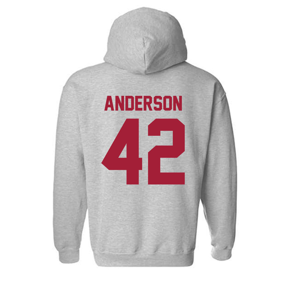 Arkansas - NCAA Baseball : Michael Anderson - Hooded Sweatshirt-1