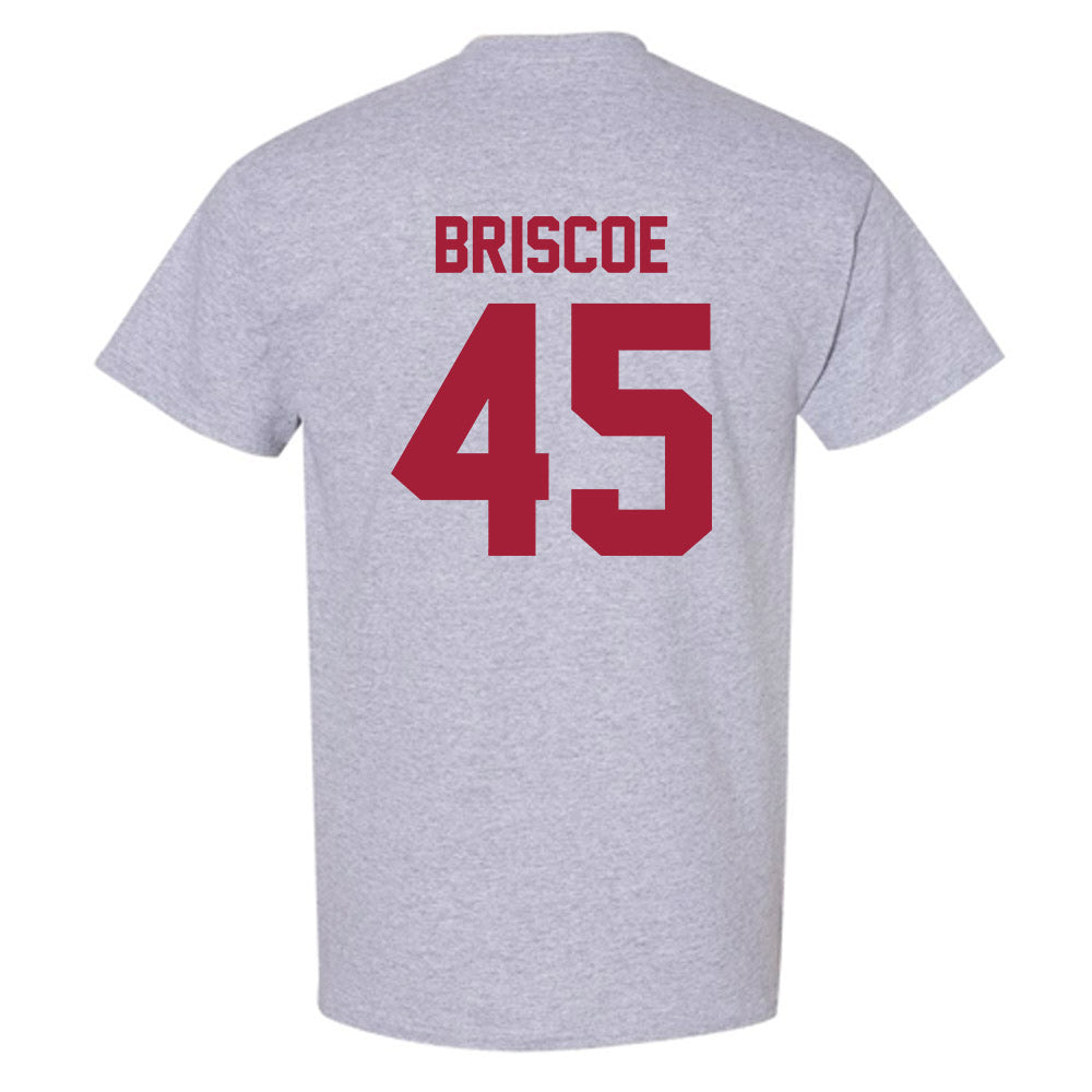 Arkansas - NCAA Baseball : Tye Briscoe - T-Shirt-1