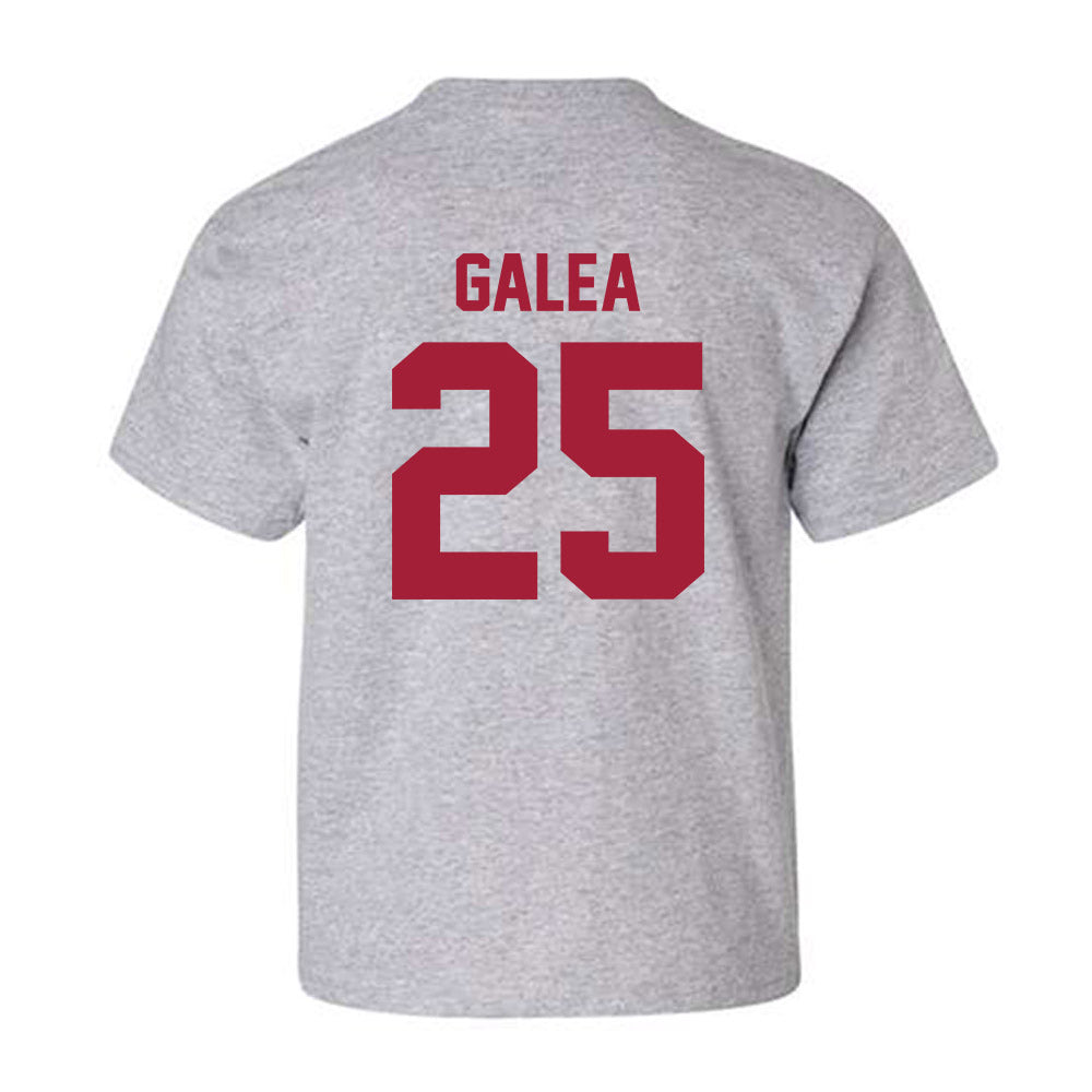 Arkansas - NCAA Women's Basketball : Danika Galea - Youth T-Shirt-1