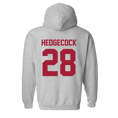 Arkansas - NCAA Softball : Rylin Hedgecock - Hooded Sweatshirt