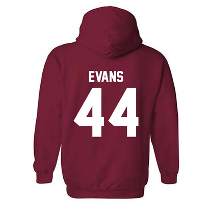Arkansas - NCAA Women's Volleyball : Zoi Evans - Classic Shersey Hooded Sweatshirt