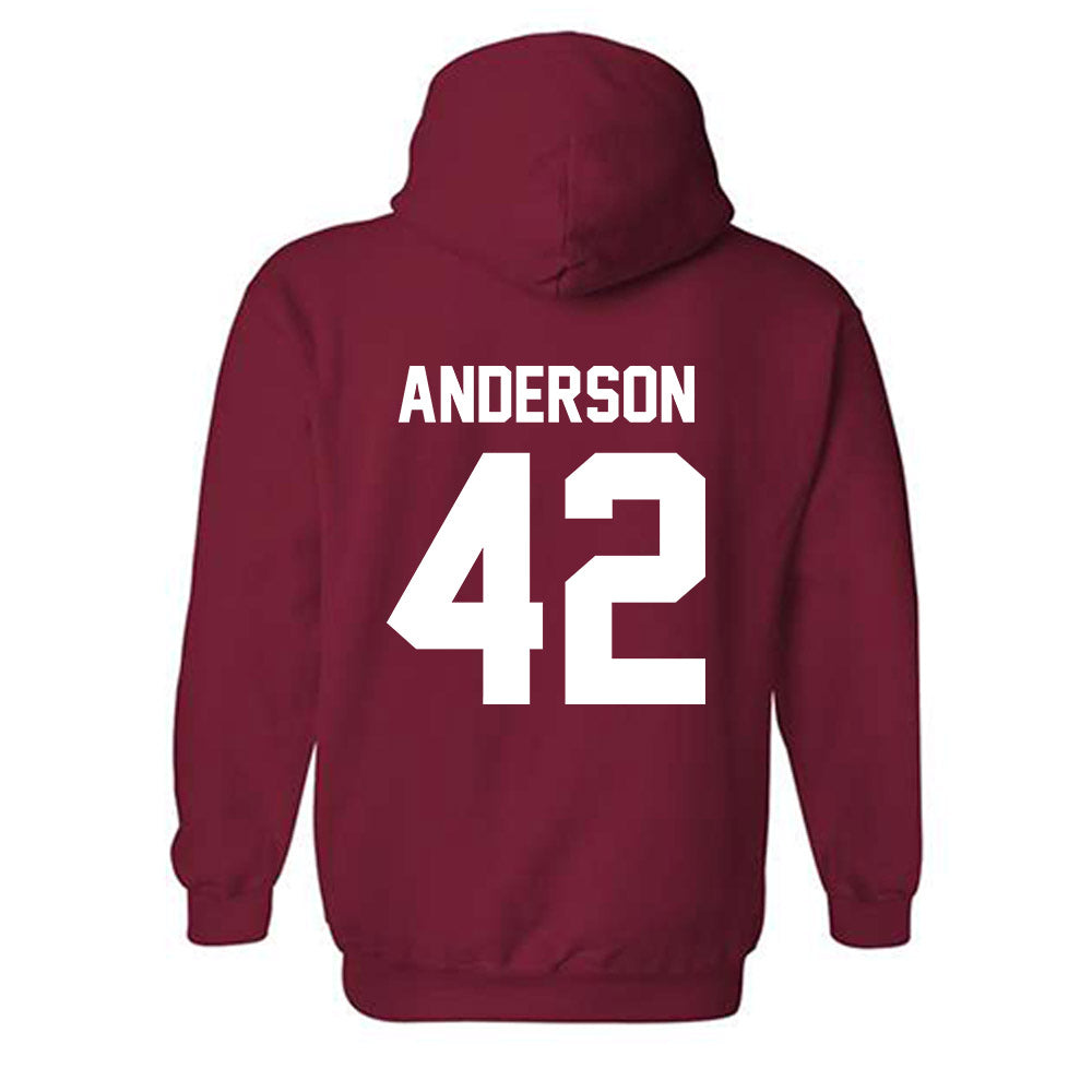 Arkansas - NCAA Baseball : Michael Anderson - Classic Shersey Hooded Sweatshirt-1