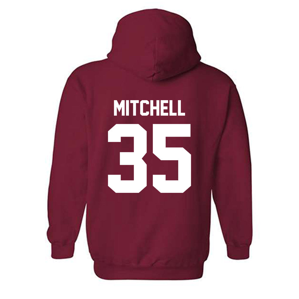 Arkansas - NCAA Baseball : Cayden Mitchell - Classic Shersey Hooded Sweatshirt-1