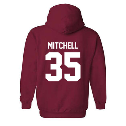 Arkansas - NCAA Baseball : Cayden Mitchell - Classic Shersey Hooded Sweatshirt-1