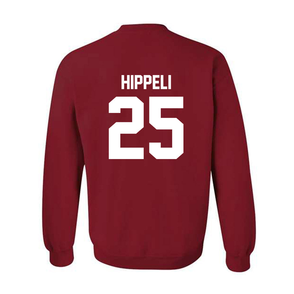 Arkansas - NCAA Women's Soccer : Morgan Hippeli - Classic Shersey Crewneck Sweatshirt