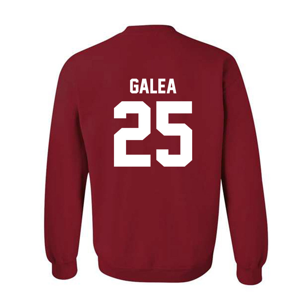 Arkansas - NCAA Women's Basketball : Danika Galea - Classic Shersey Crewneck Sweatshirt-1