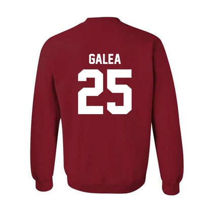 Arkansas - NCAA Women's Basketball : Danika Galea - Classic Shersey Crewneck Sweatshirt-1