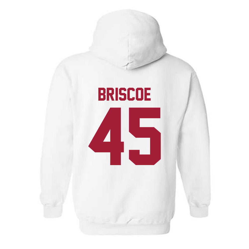 Arkansas - NCAA Baseball : Tye Briscoe - Generic Shersey Hooded Sweatshirt-1