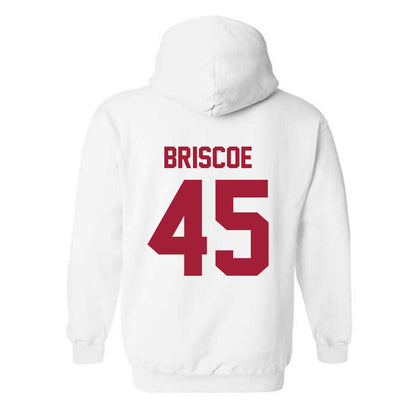 Arkansas - NCAA Baseball : Tye Briscoe - Generic Shersey Hooded Sweatshirt-1