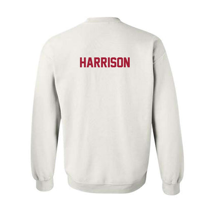 Arkansas - NCAA Women's Swimming & Diving : Delaney Harrison - Generic Shersey Crewneck Sweatshirt