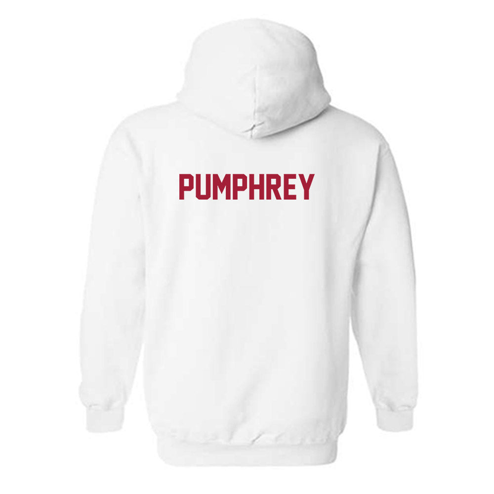 Arkansas - NCAA Women's Swimming & Diving : Kanah Pumphrey - Generic Shersey Hooded Sweatshirt