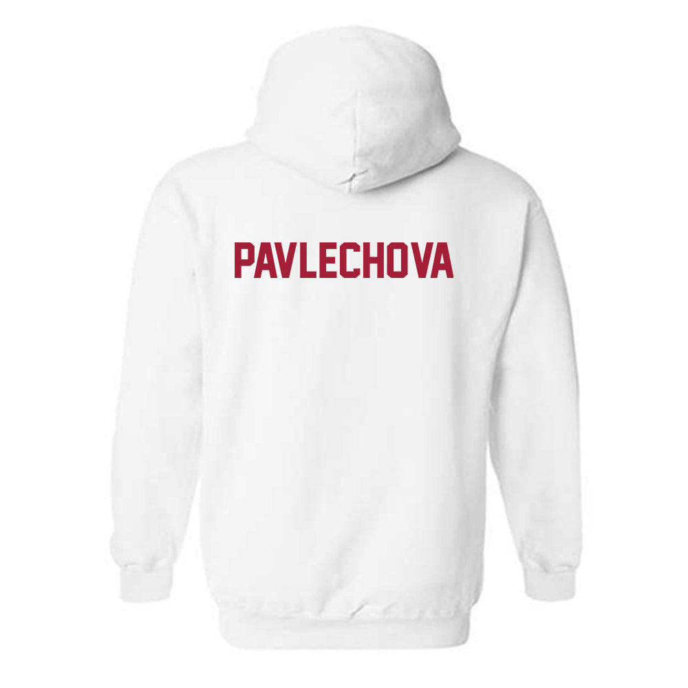 Arkansas - NCAA Women's Tennis : Katarina Pavlechova - Generic Shersey Hooded Sweatshirt-1