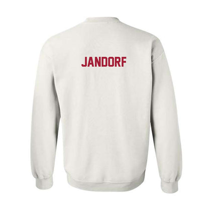 Arkansas - NCAA Women's Gymnastics : Riley Jandorf - Generic Shersey Crewneck Sweatshirt-1
