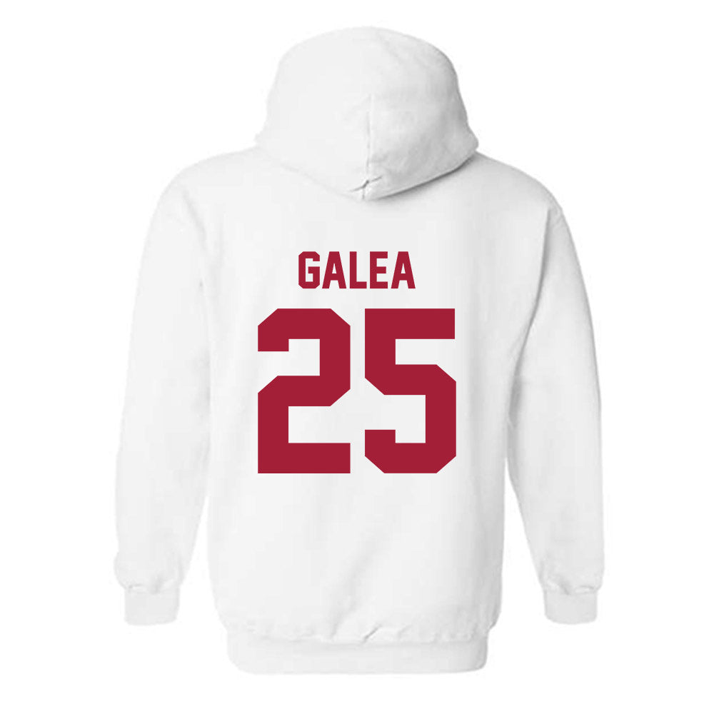 Arkansas - NCAA Women's Basketball : Danika Galea - Generic Shersey Hooded Sweatshirt-1