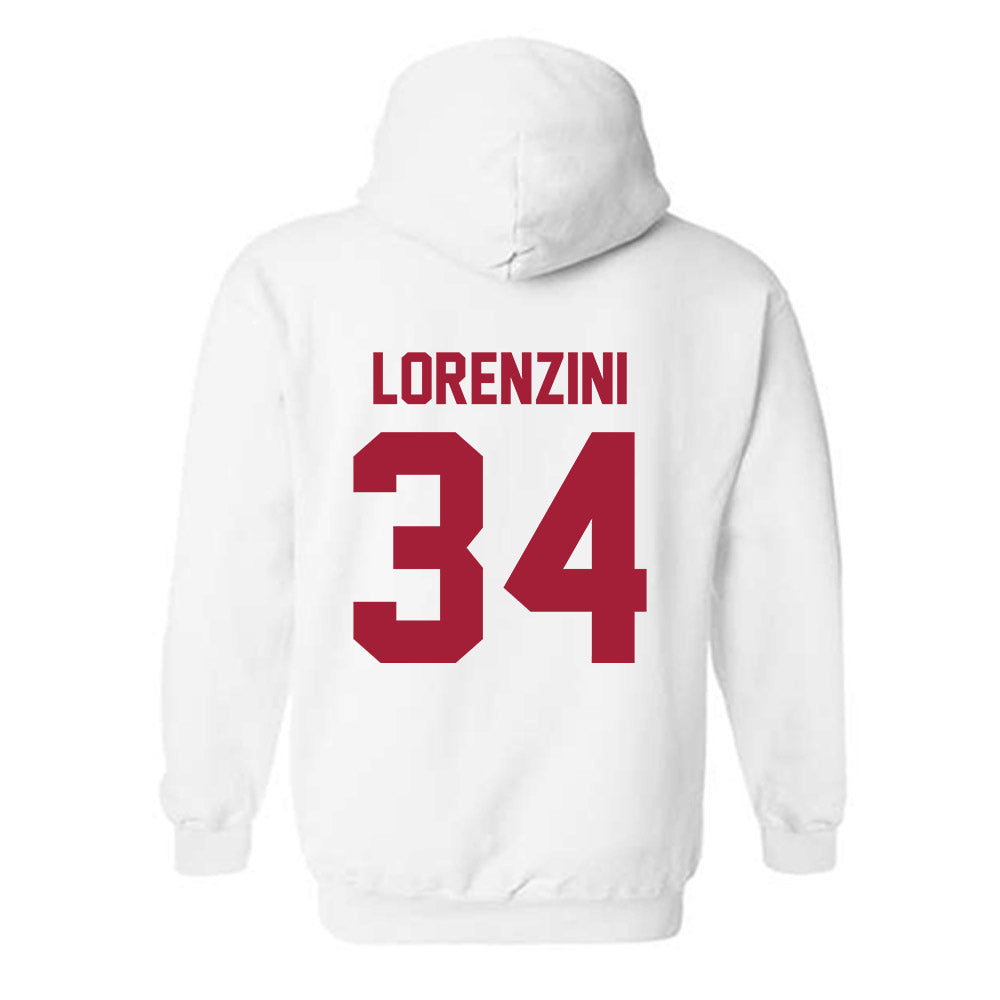 Arkansas - NCAA Baseball : Joey Lorenzini - Generic Shersey Hooded Sweatshirt-1