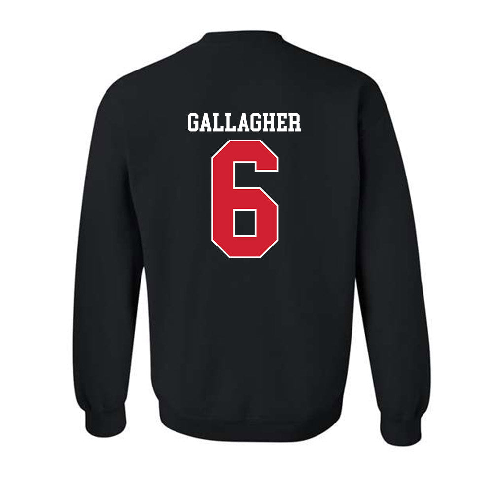 Fairfield - NCAA Men's Lacrosse : Brendan Gallagher - Classic Shersey Crewneck Sweatshirt-1