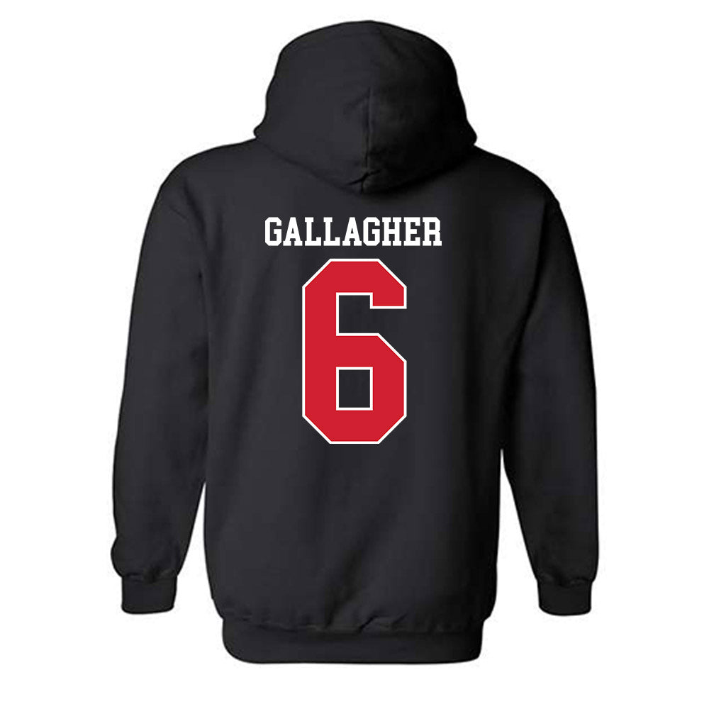 Fairfield - NCAA Men's Lacrosse : Brendan Gallagher - Classic Shersey Hooded Sweatshirt-1
